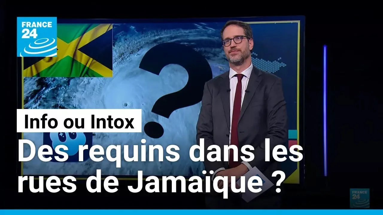 tiktok face aux accusations : menace sur la protection de l’enfance et la santé mentale