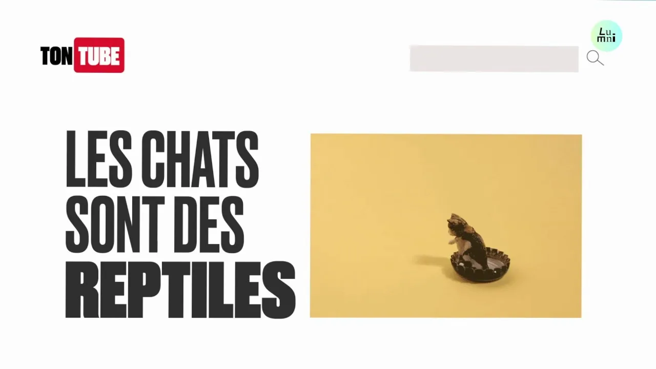 désinformation sur youtube et autres plateformes : le classement surprenant selon l&rsquo;étude