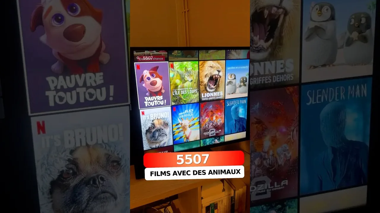 netflix dynamise son catalogue avec de nouvelles saisons et films cultes en février 2026