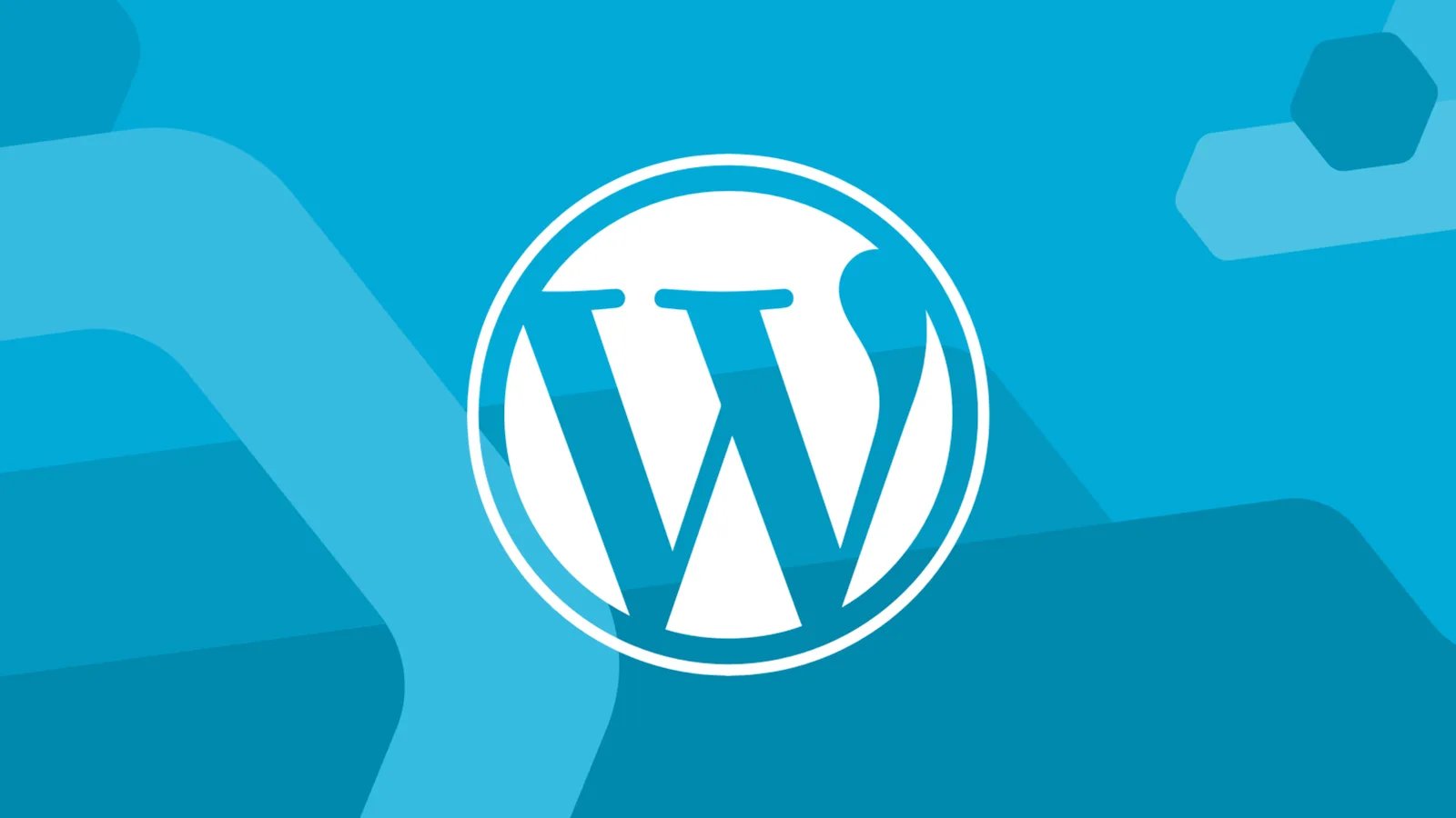 Les erreurs les plus fréquentes dans la gestion quotidienne d’un site WordPress