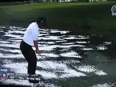 un bug dans le jeu tiger woods de ea games ?
